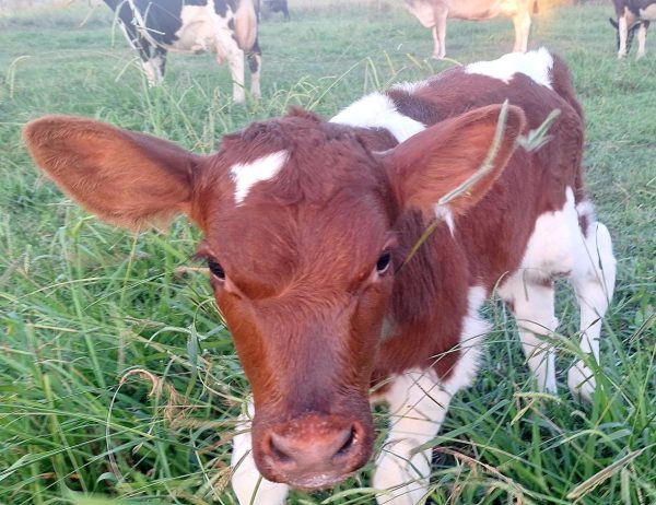 A horsey win on one hand and serious cuteness on the&nbsp;other!